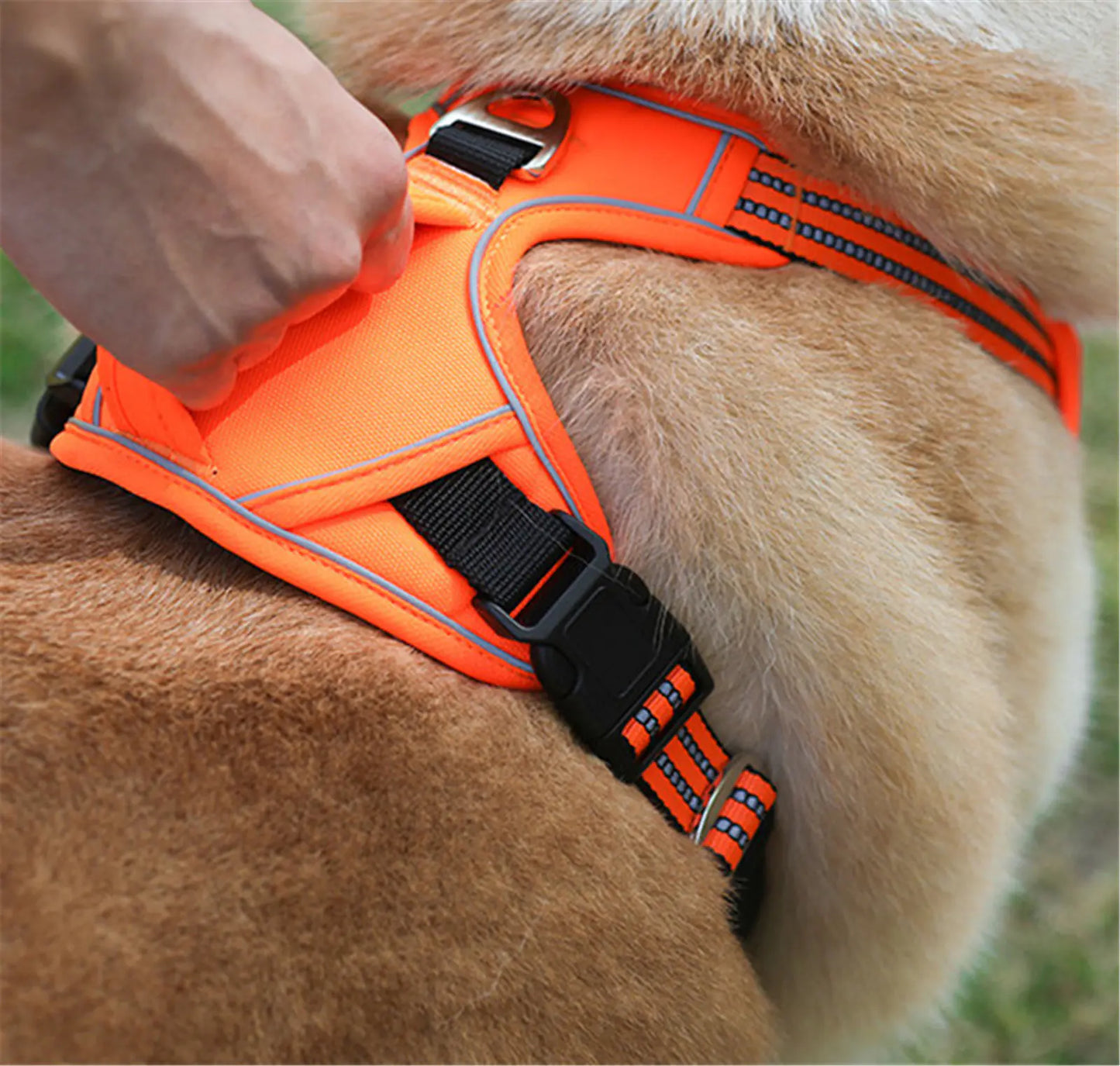 Waterproof Pet Harness